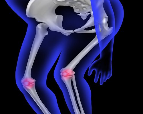 Illustration of a human knee joint showing muscles and bones